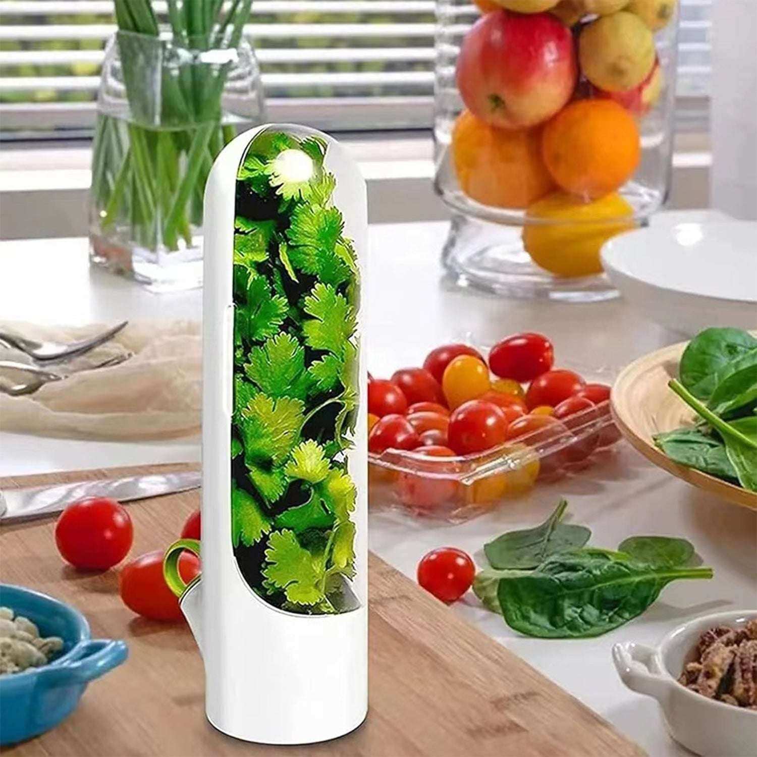 Portable Herb Keeper with Fresh Water Base - Sywora